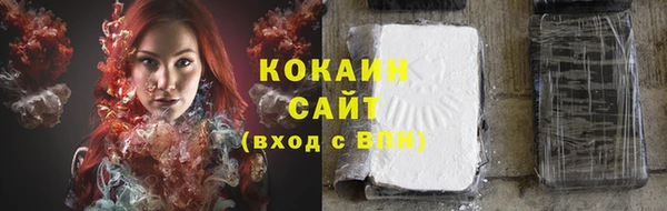 СК Алзамай