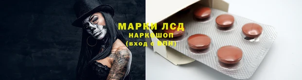 гидропоника Новозыбков