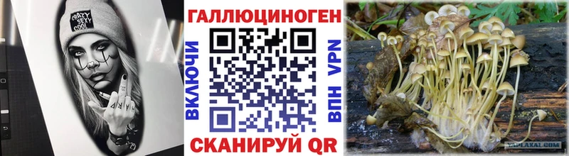 Галлюциногенные грибы Cubensis  Махачкала 