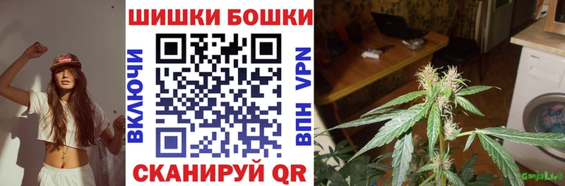 МАРИХУАНА конопля Махачкала