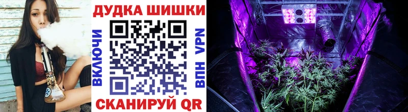 Канабис план Махачкала